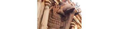 காரமடை